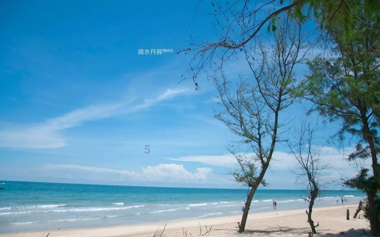 美人鱼游玩